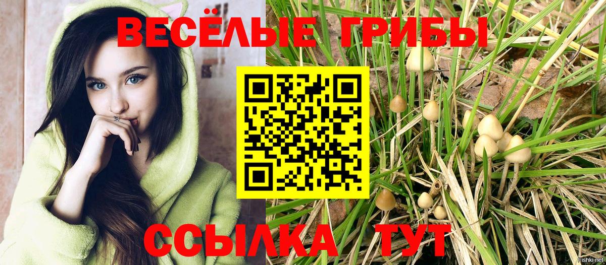 Галлюциногенные грибы MAGIC MUSHROOMS Людиново